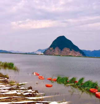 金狮贵宾会·宾至如归-尊贵显赫